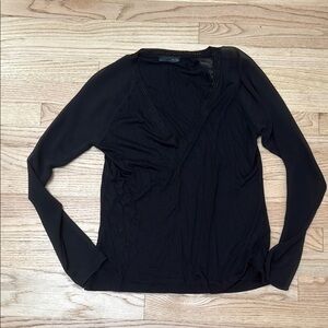 Zara Sheer Sleeve Vneck Top Metallic Accent